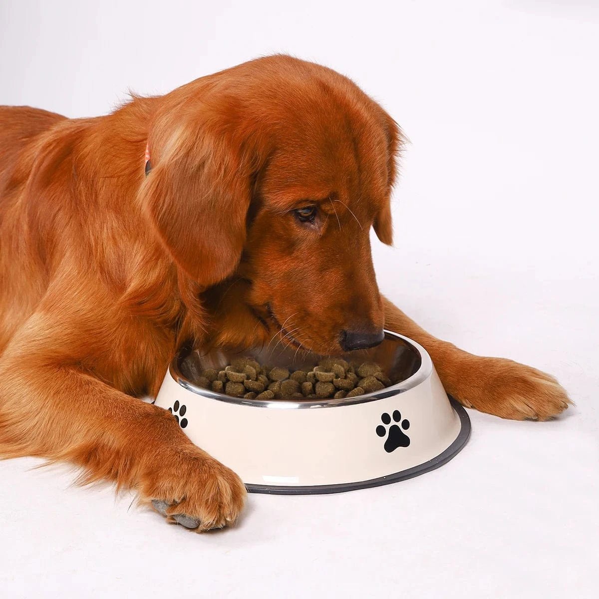 1PC Stainless Steel Pet Bowl Cat Bowl Dog Food Bowl Multi - Specification Anti - fall Food Bowl Food Bowl Feeding Pet Supplies - PawfectCo