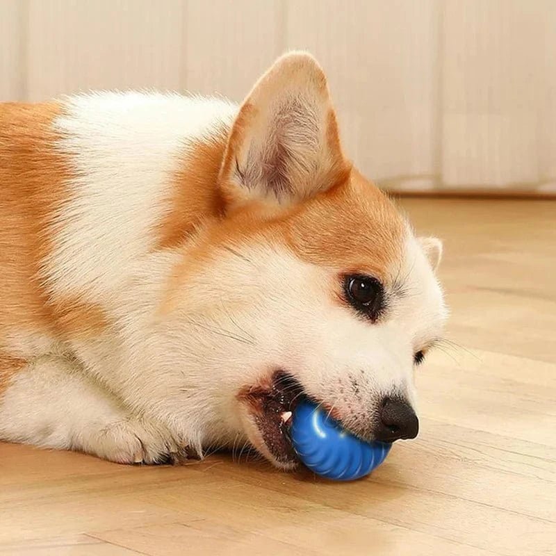 Automatic Moving Dog Toy Ball Smart USB Jumping Rotating Interactive Dog Chew Toy Ball for Puppy Ball Toys - PawfectCo