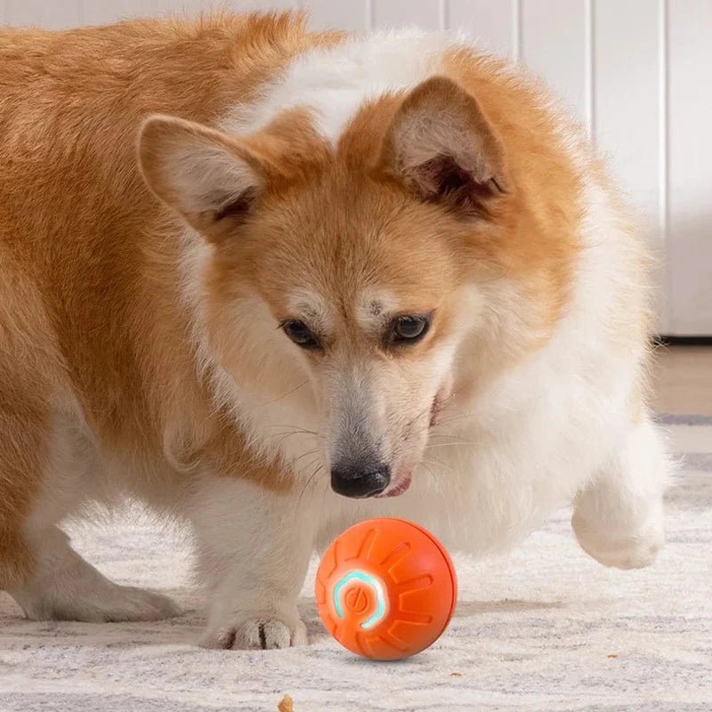 Automatic Moving Dog Toy Ball Smart USB Jumping Rotating Interactive Dog Chew Toy Ball for Puppy Ball Toys - PawfectCo