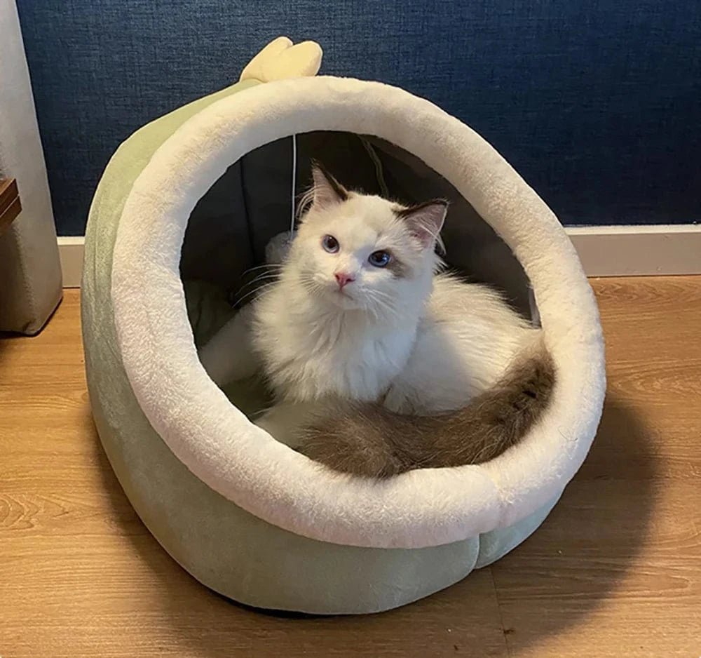 Deep Sleep Cat Bed Cartoon Pet Bed Foldable Removable Washable Pet Sleeping Bed for Small Dog Mat Bag Cave Cats Bed - PawfectCo