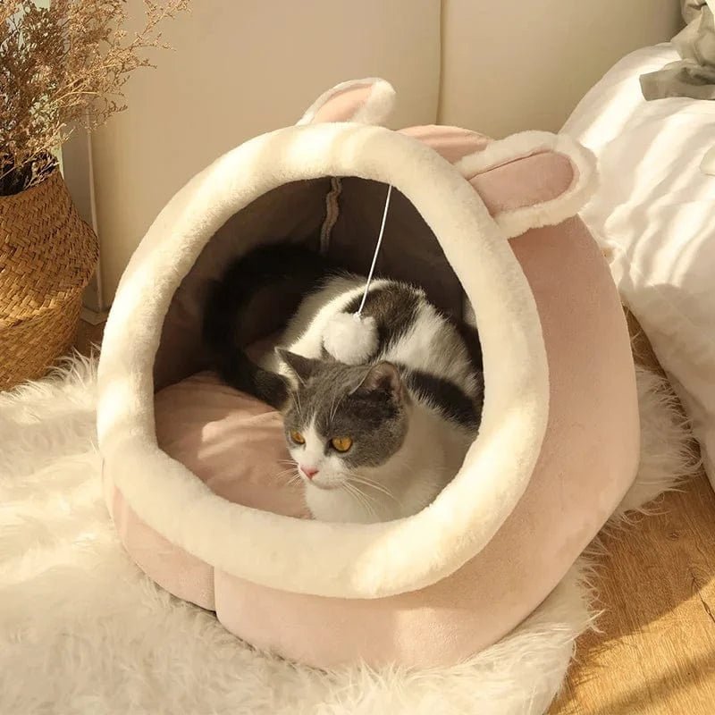 Deep Sleep Cat Bed Cartoon Pet Bed Foldable Removable Washable Pet Sleeping Bed for Small Dog Mat Bag Cave Cats Bed - PawfectCo