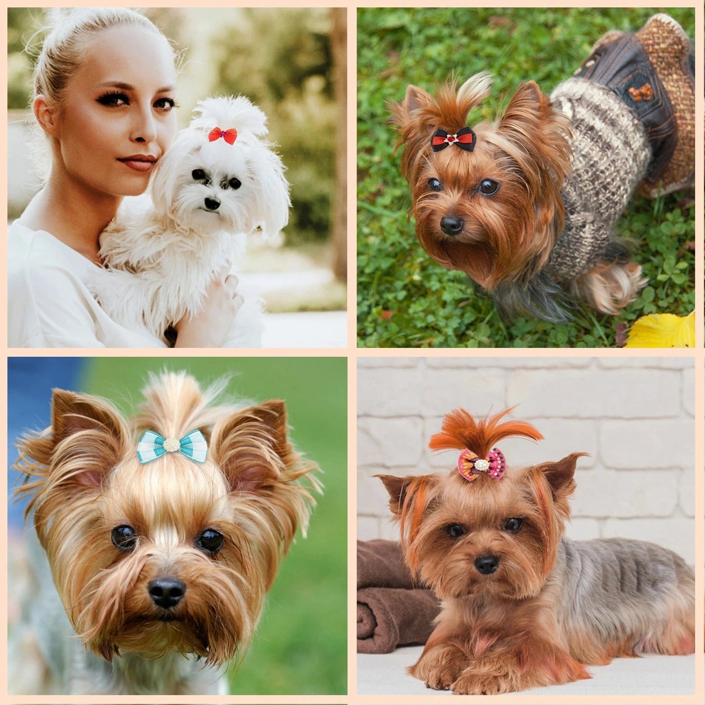 Dog Grooming Bows CatHair Bows Small Pog Grooming Accessories Dog Hair Rubber Bands Pet Supplier - PawfectCo