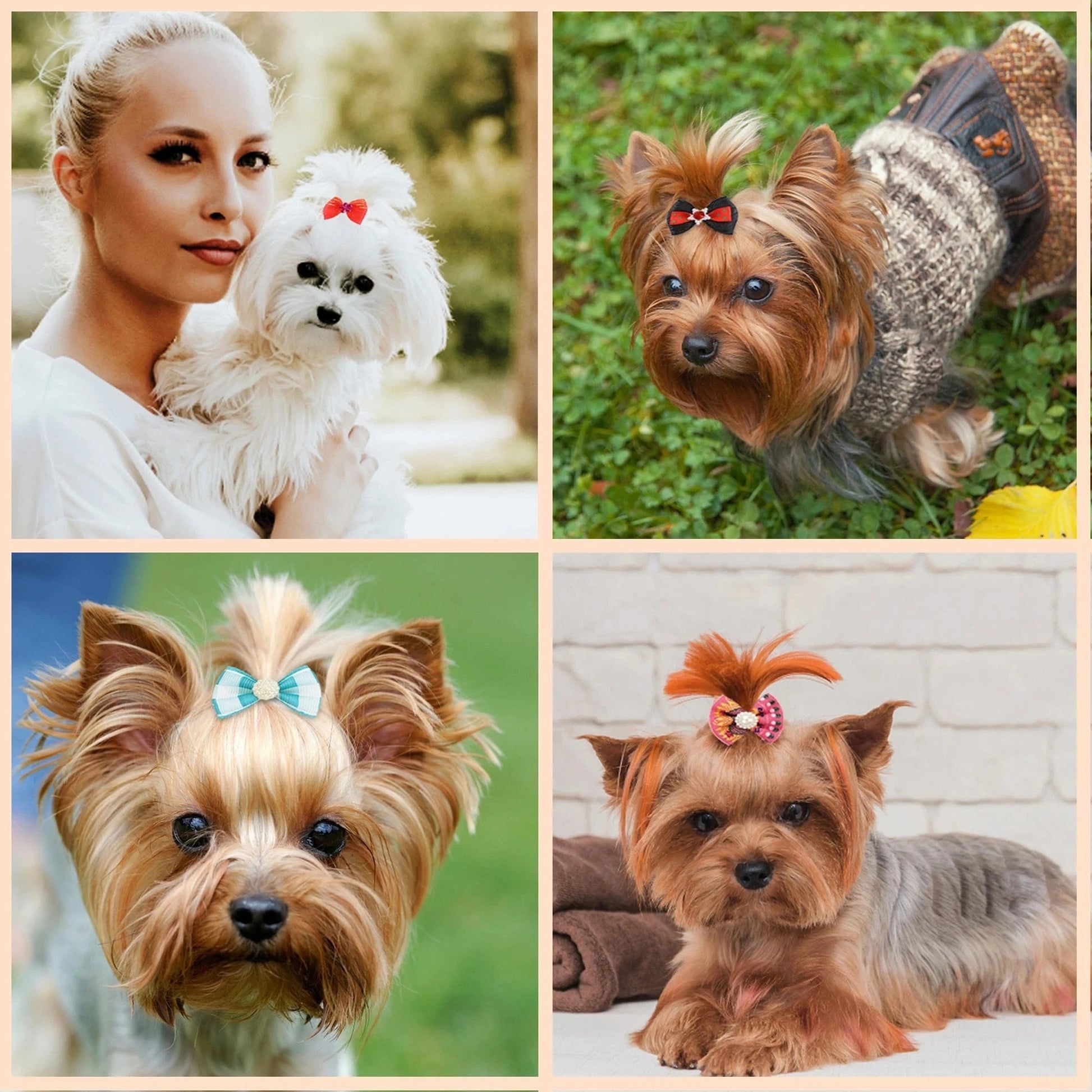 Dog Grooming Bows CatHair Bows Small Pog Grooming Accessories Dog Hair Rubber Bands Pet Supplier - PawfectCo