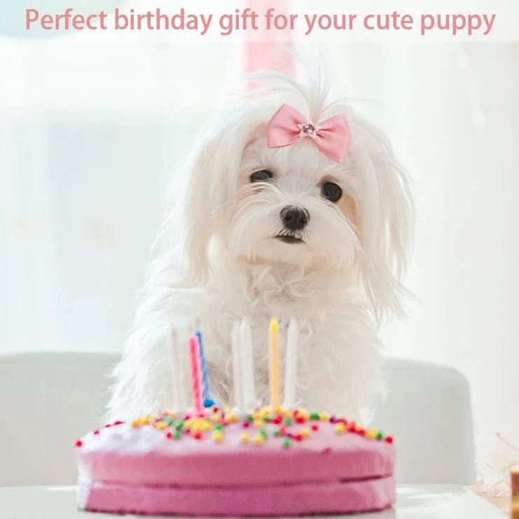 Dog Grooming Bows CatHair Bows Small Pog Grooming Accessories Dog Hair Rubber Bands Pet Supplier - PawfectCo