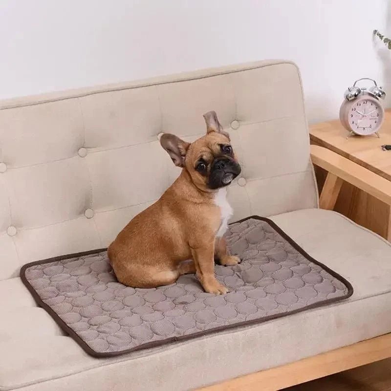 Dog Mat Cooling Summer Pad Mat For Dogs Cat Blanket Sofa Breathable Pet Dog Bed Summer Washable For Small Medium Large Dogs Car - PawfectCo