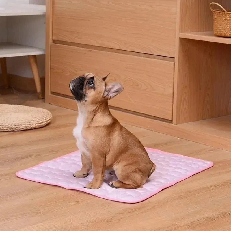 Dog Mat Cooling Summer Pad Mat For Dogs Cat Blanket Sofa Breathable Pet Dog Bed Summer Washable For Small Medium Large Dogs Car - PawfectCo
