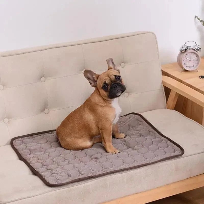 Dog Mat Cooling Summer Pad Mat For Dogs Cat Blanket Sofa Breathable Pet Dog Bed Summer Washable For Small Medium Large Dogs Car - PawfectCo