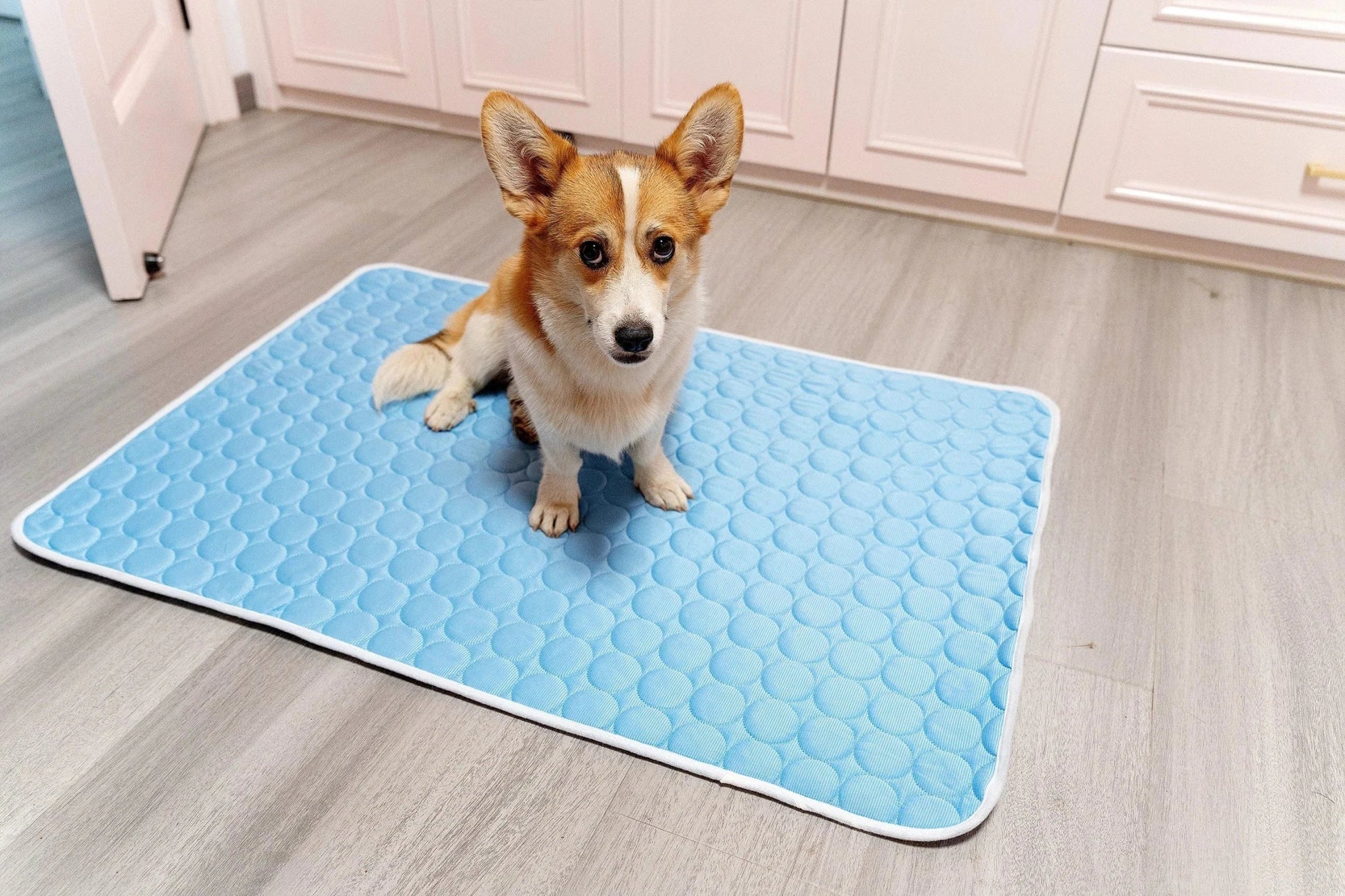 Dog Mat Cooling Summer Pad Mat For Dogs Cat Blanket Sofa Breathable Pet Dog Bed Summer Washable For Small Medium Large Dogs - PawfectCo