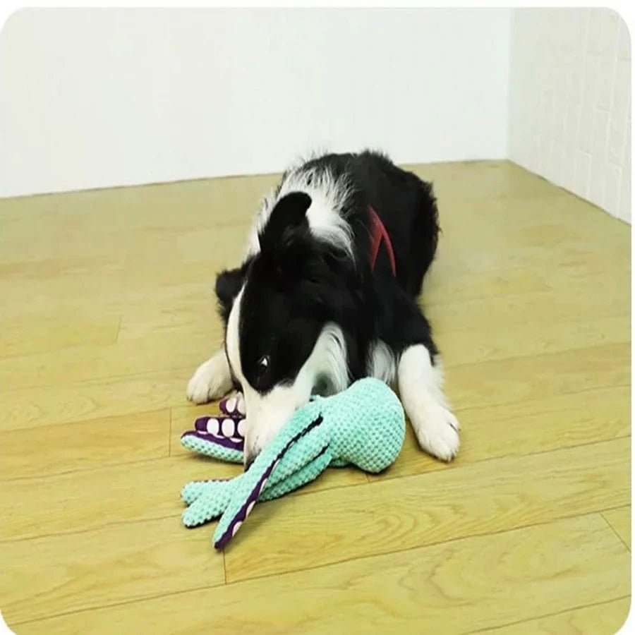 Dog pet plush octopus toy interactive sound anti - demolition home large and small dog boredom companion toy - PawfectCo