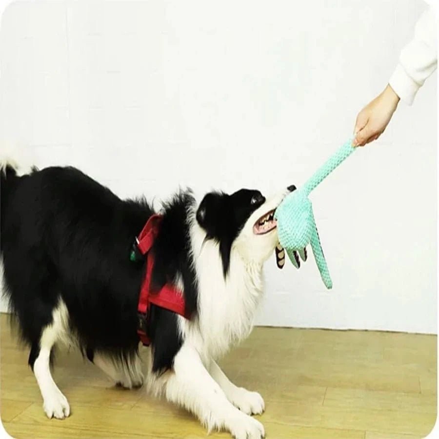 Dog pet plush octopus toy interactive sound anti - demolition home large and small dog boredom companion toy - PawfectCo