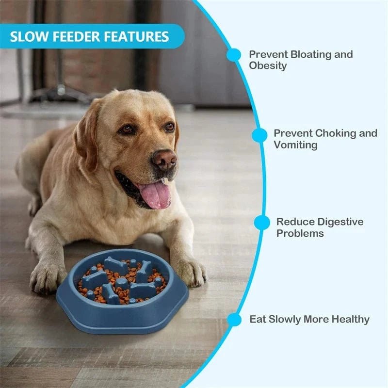 Dog Slow Feeder Bowl Anti - glutton Food Bowl for Dogs Slow Eating Dog Feeders Healthy Diet Pet Feeding Watering Supplies - PawfectCo