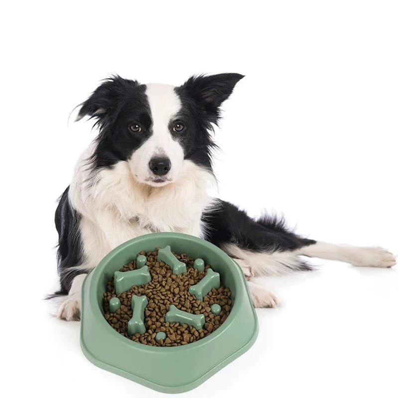 Dog Slow Feeder Bowl Anti - glutton Food Bowl for Dogs Slow Eating Dog Feeders Healthy Diet Pet Feeding Watering Supplies - PawfectCo