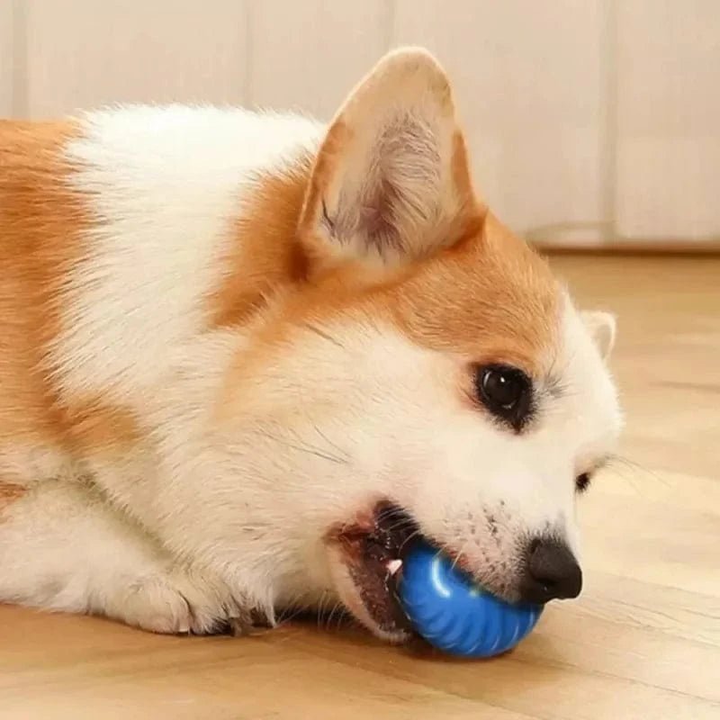 Dog Toy Ball Automatic Moving Bouncing Rolling Ball USB Smart puppy Interactive Dog Chew Toy Ball - PawfectCo