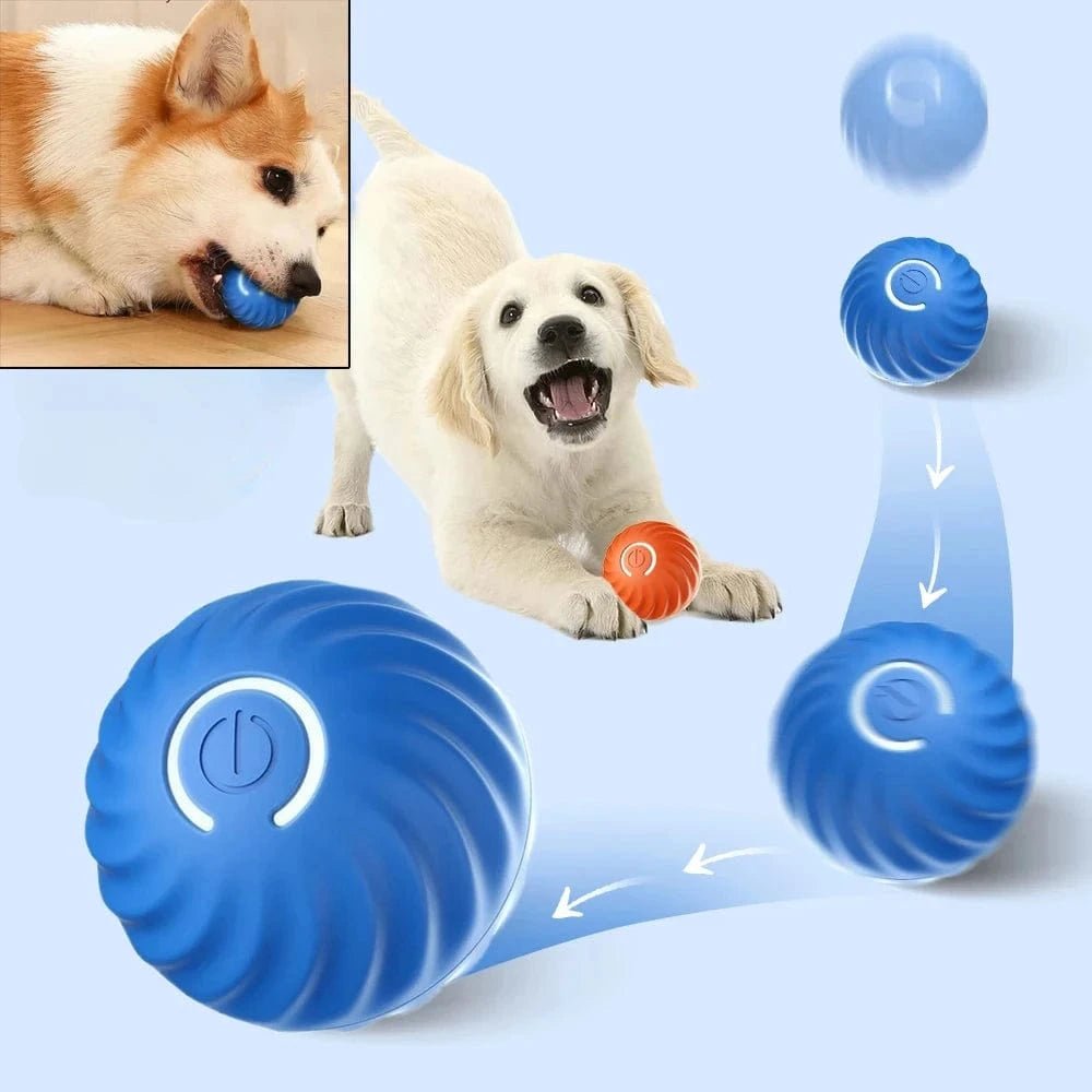 Dog Toy Ball Automatic Moving Bouncing Rolling Ball USB Smart puppy Interactive Dog Chew Toy Ball - PawfectCo