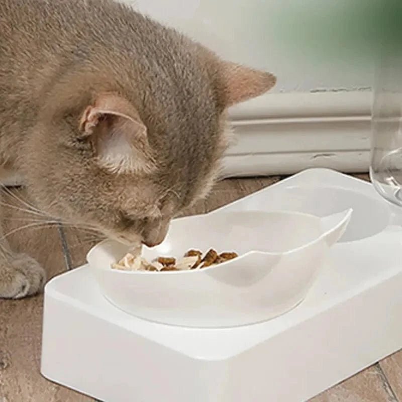New Pet Bowl 15 Degrees Tilt to Protect Cervical Vertebrae Dog Food Bowl Automatic Drinking Feeder Pet Feeding Supplies - PawfectCo