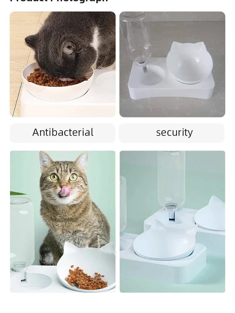 New Pet Bowl 15 Degrees Tilt to Protect Cervical Vertebrae Dog Food Bowl Automatic Drinking Feeder Pet Feeding Supplies - PawfectCo