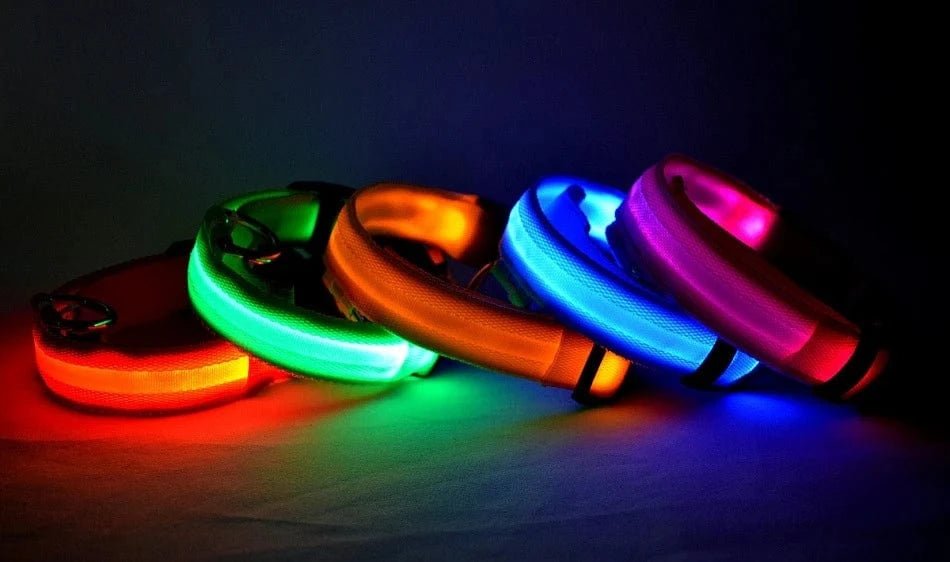 Nylon LED Night Safety Flashing Glow In The Dark Dog Leash Dogs Luminous Fluorescent Pet Dog Collar - PawfectCo