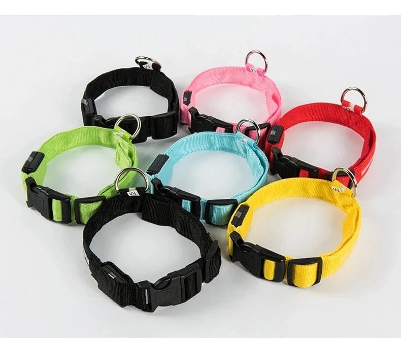 Nylon LED Night Safety Flashing Glow In The Dark Dog Leash Dogs Luminous Fluorescent Pet Dog Collar - PawfectCo