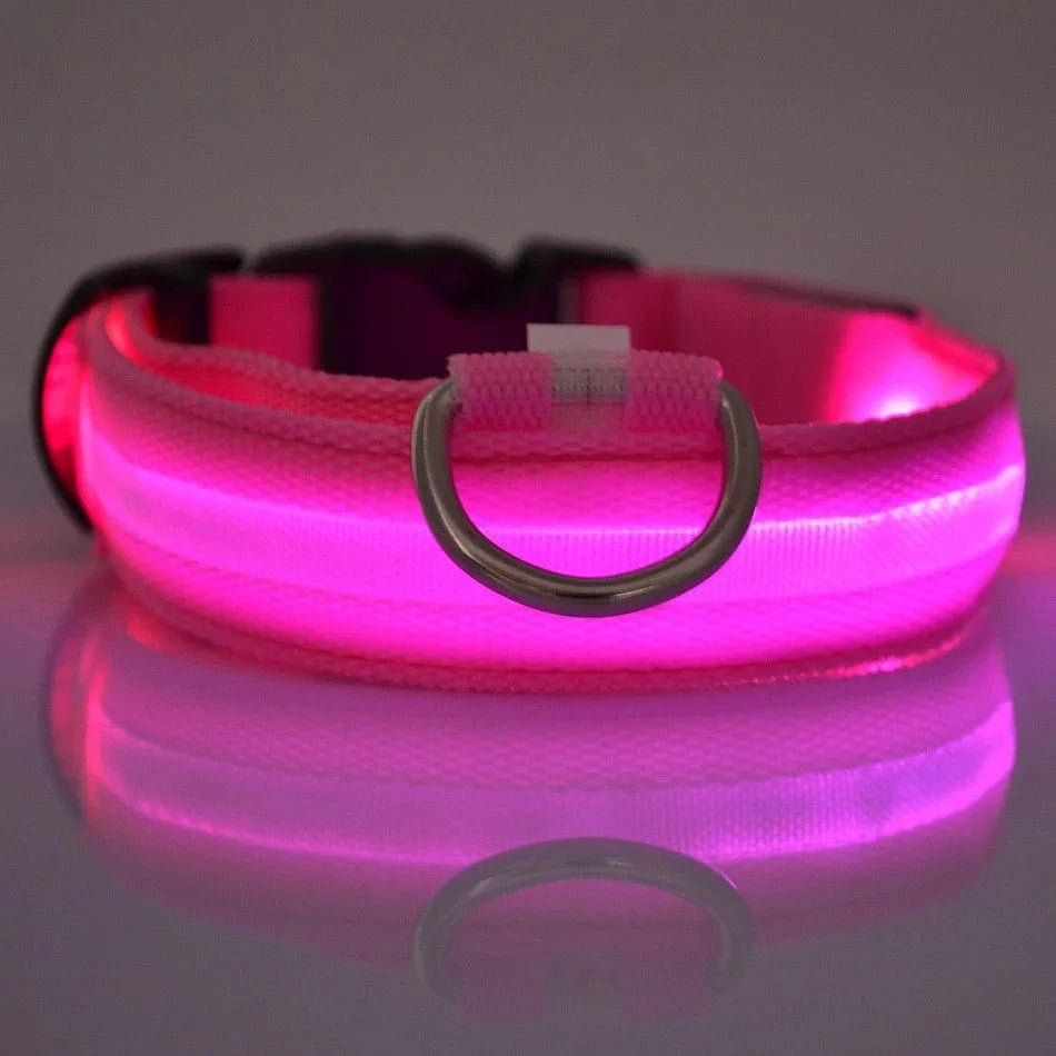 Nylon LED Night Safety Flashing Glow In The Dark Dog Leash Dogs Luminous Fluorescent Pet Dog Collar - PawfectCo