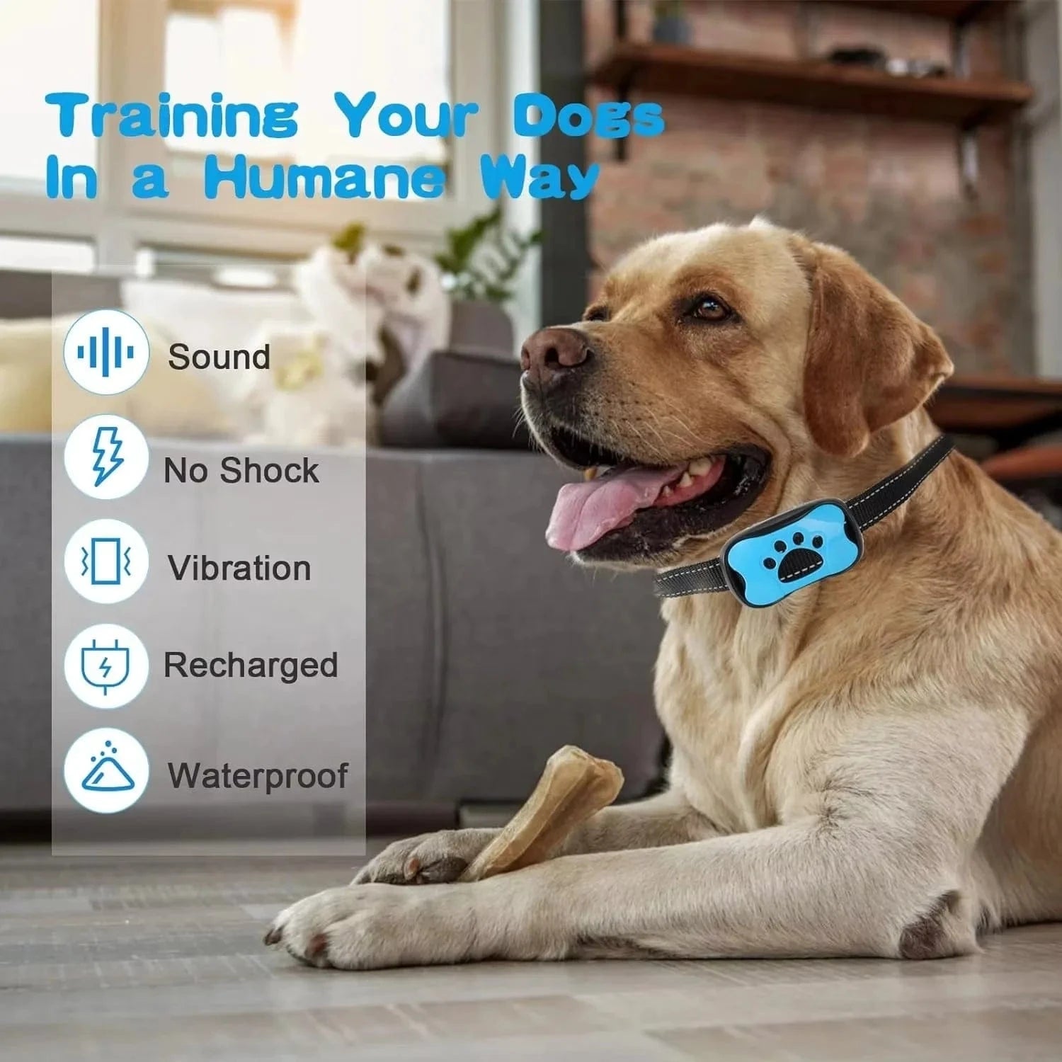 Pet Dog Anti Barking Device Dogs Training Collar USB Rechargeable Ultrasonic Stop Barking Vibration Anti Bark Collar Accessories - PawfectCo