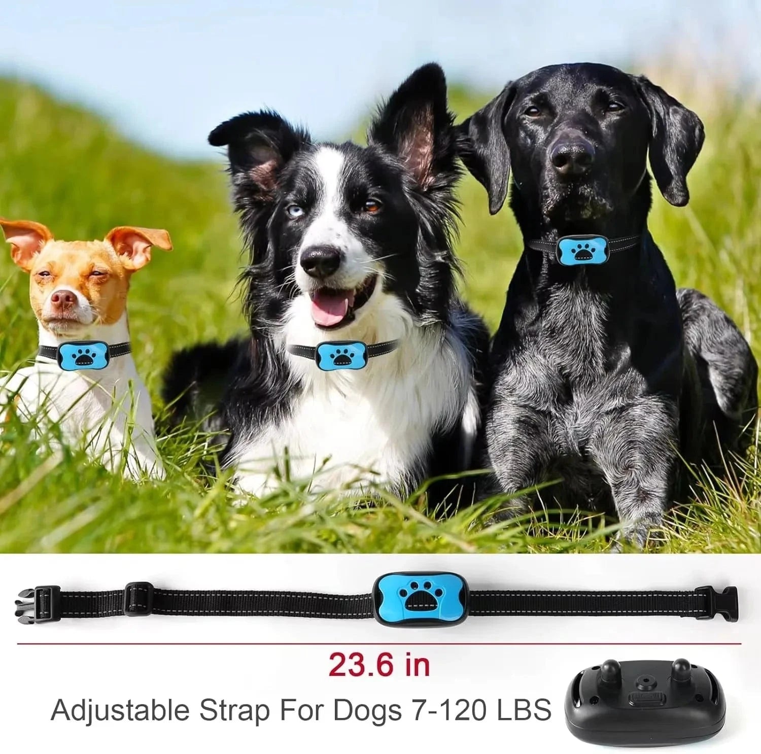 Pet Dog Anti Barking Device Dogs Training Collar USB Rechargeable Ultrasonic Stop Barking Vibration Anti Bark Collar Accessories - PawfectCo