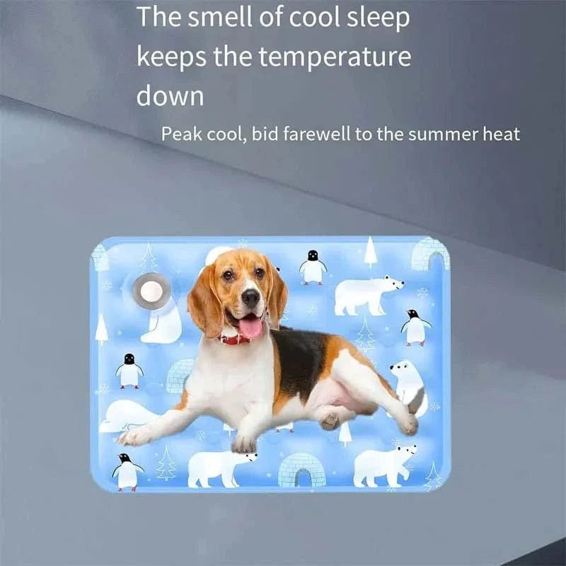 Pet ice mat summer cooling cat cool pad dog ice bed dormitory sofa mat computer cooling pad camping pad - PawfectCo