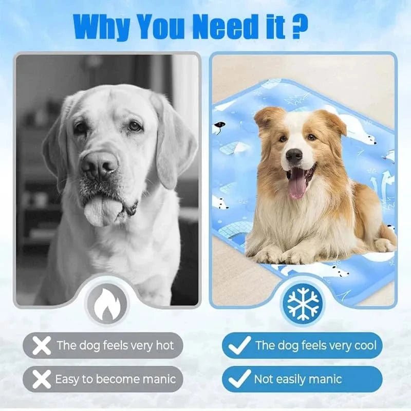 Pet ice mat summer cooling cat cool pad dog ice bed dormitory sofa mat computer cooling pad camping pad - PawfectCo