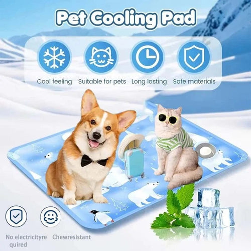 Pet ice mat summer cooling cat cool pad dog ice bed dormitory sofa mat computer cooling pad camping pad - PawfectCo