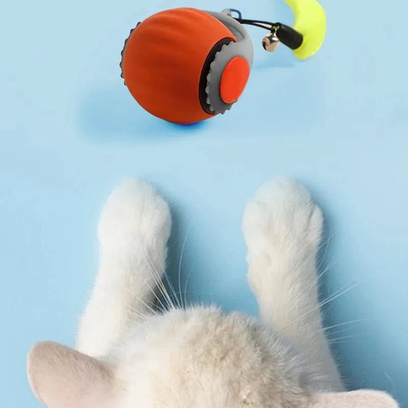 Pet smart cat ball cat toy ball electric cat toy self - exciting boredom ball safe bite - resistant pet toy - PawfectCo