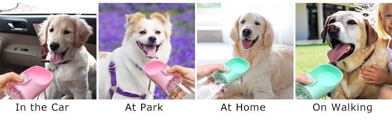 Portable Dog Water Bottle For Small Large Dogs Cat Outdoor Leakproof Walking Drinking Bowls Chihuahua French Bulldog Supplies - PawfectCo