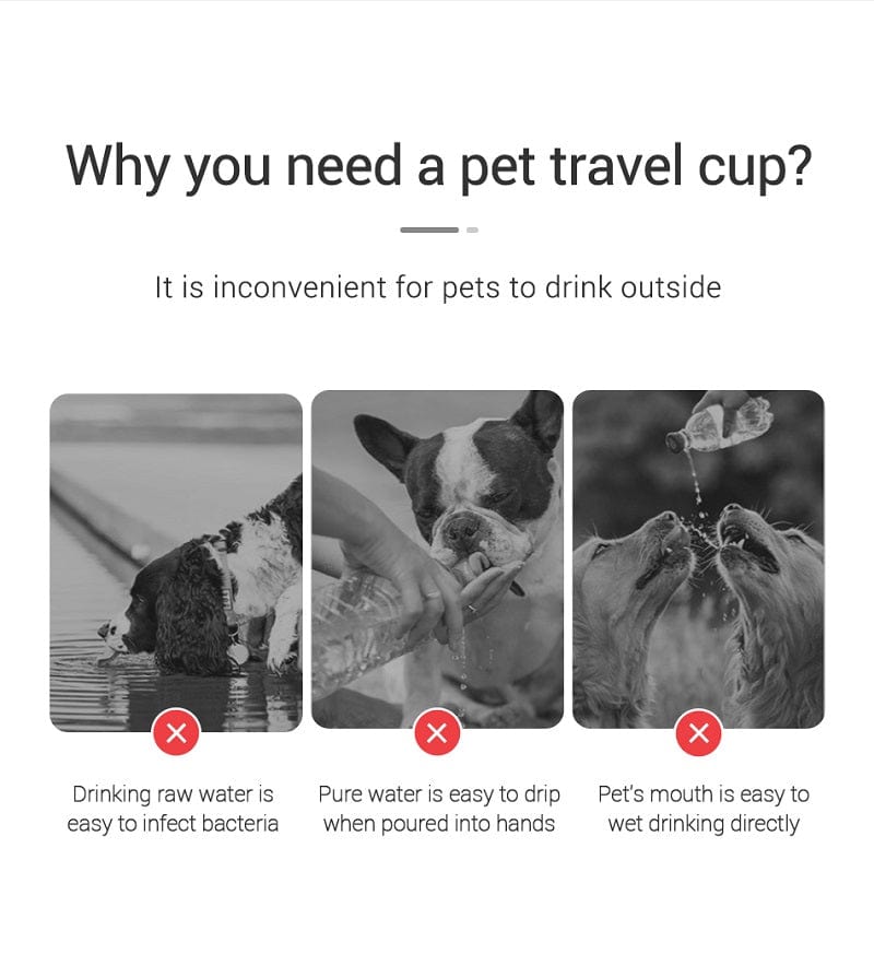 Portable Dog Water Bottle For Small Large Dogs Cat Outdoor Leakproof Walking Drinking Bowls Chihuahua French Bulldog Supplies - PawfectCo