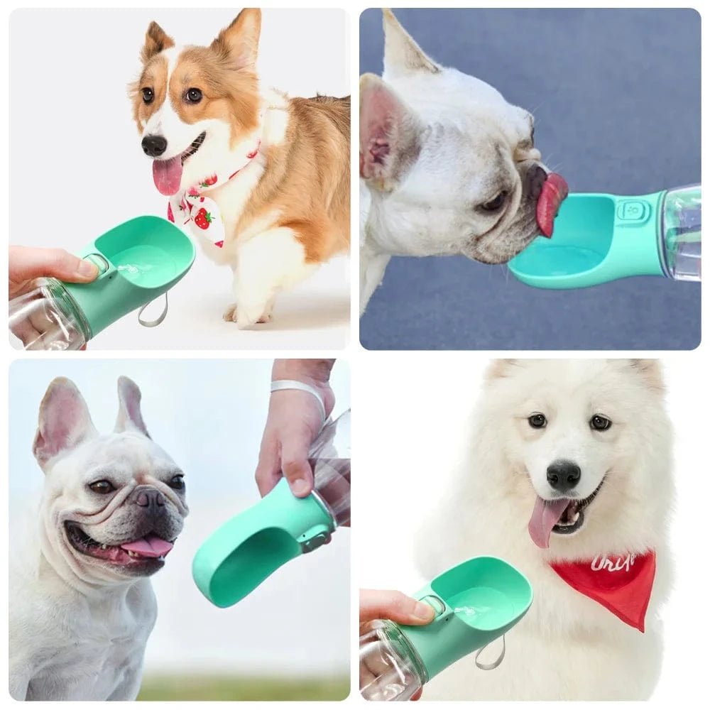 Portable Dog Water Bottle For Small Large Dogs Cat Outdoor Leakproof Walking Drinking Bowls Chihuahua French Bulldog Supplies - PawfectCo