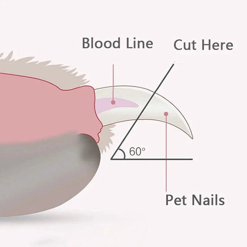 Professional Pet Nail Clippers with Led Light Pet Claw Grooming Scissors for Dogs Cats Small Animals Paw Nail Trimmer Pet Supply - PawfectCo