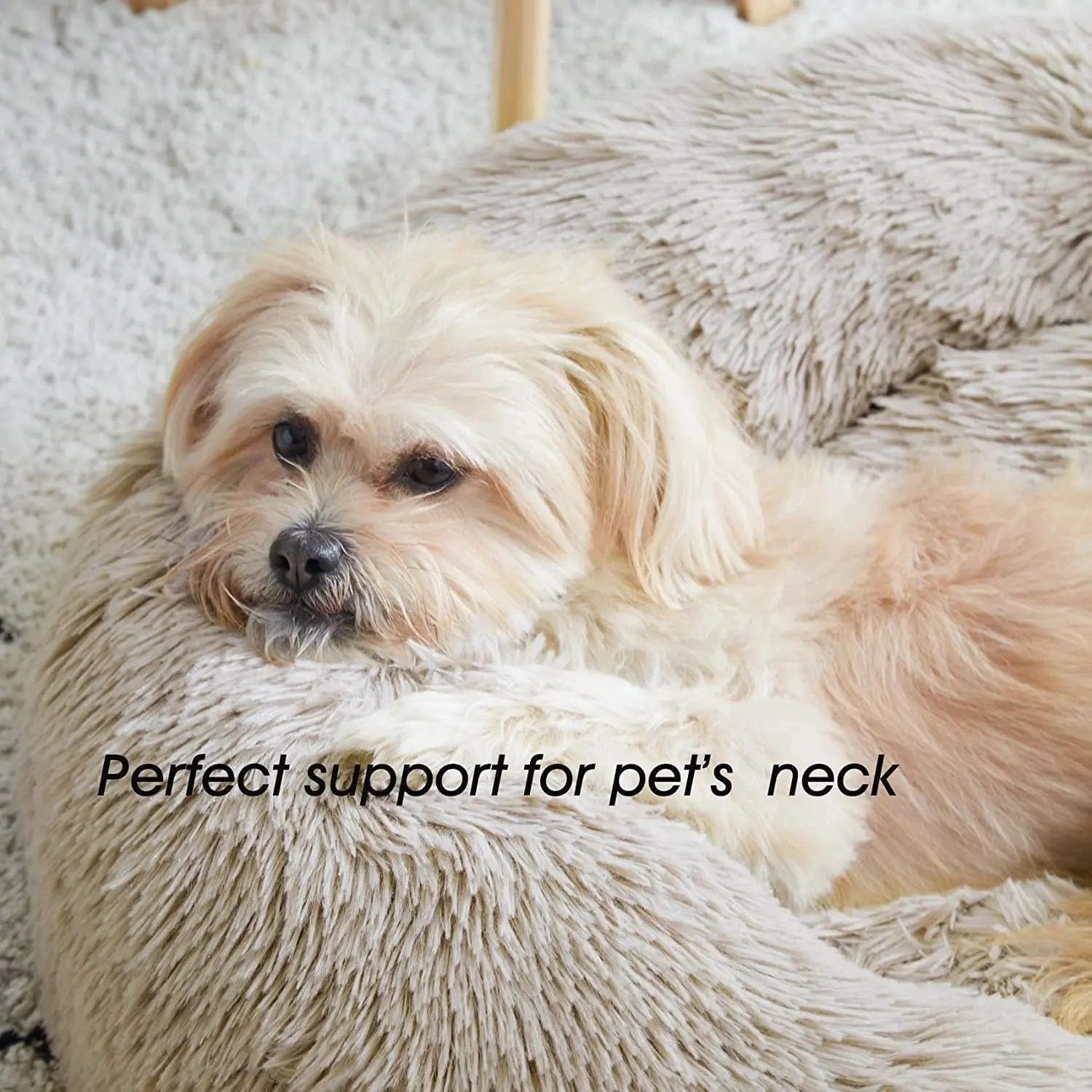 Super Cat Bed Warm Sleeping Cat Nest Soft Long Plush Best Pet Dog Bed for Dogs Basket Cushion Cat Bed Cat Mat Animals Sleeping - PawfectCo