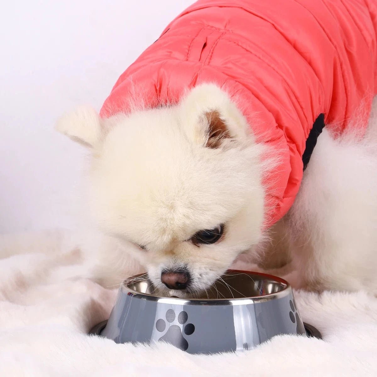 1PC Stainless Steel Pet Bowl Cat Bowl Dog Food Bowl Multi - Specification Anti - fall Food Bowl Food Bowl Feeding Pet Supplies - PawfectCo