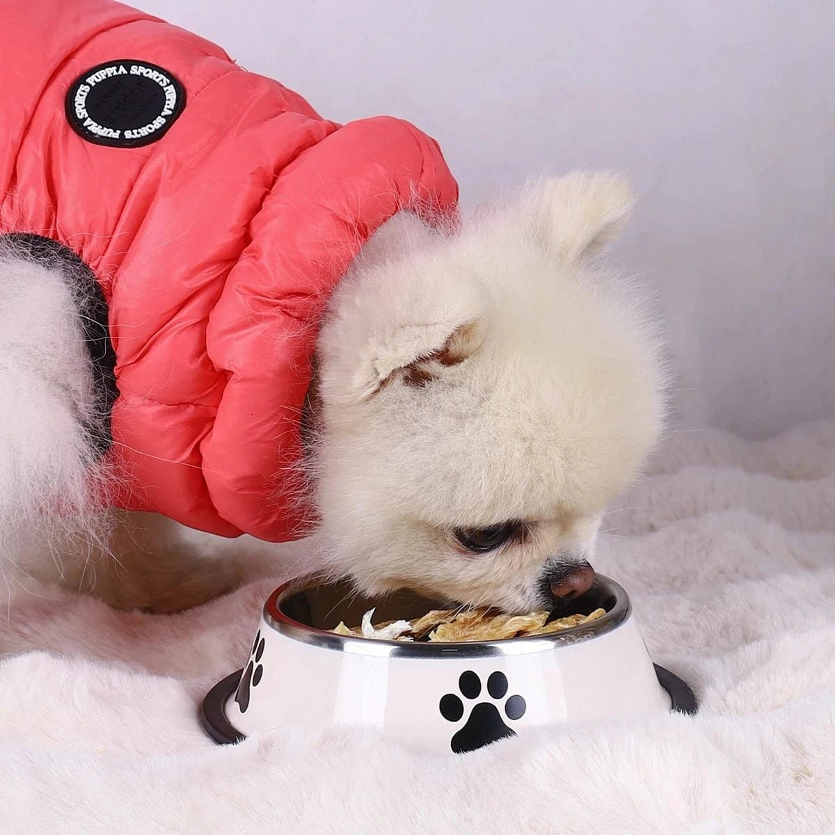 1PC Stainless Steel Pet Bowl Cat Bowl Dog Food Bowl Multi - Specification Anti - fall Food Bowl Food Bowl Feeding Pet Supplies - PawfectCo