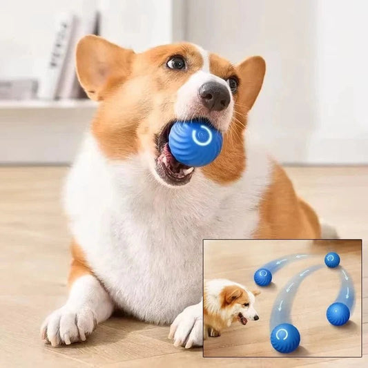 Automatic Moving Dog Toy Ball Smart USB Jumping Rotating Interactive Dog Chew Toy Ball for Puppy Ball Toys - PawfectCo