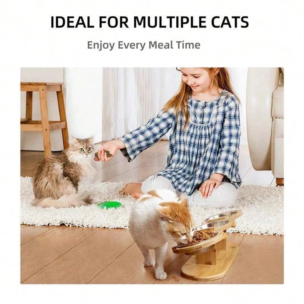 Cat 3 Bowls in 1 Feeder Feeding & Watering Supplies Food Bowl 15 - Degree Tilt Raised Puppy 3 Stainless Steel Bowls Wood Brackets - PawfectCo
