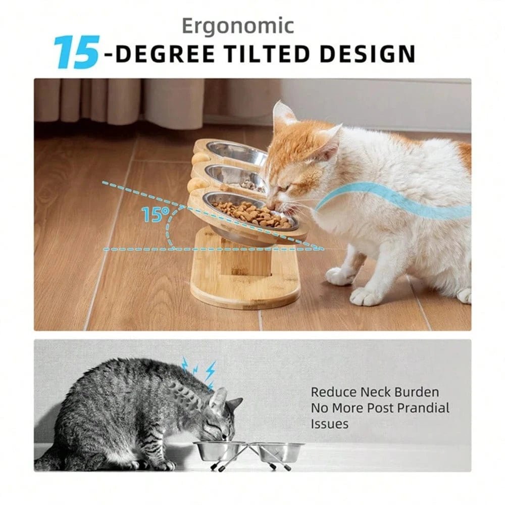 Cat 3 Bowls in 1 Feeder Feeding & Watering Supplies Food Bowl 15 - Degree Tilt Raised Puppy 3 Stainless Steel Bowls Wood Brackets - PawfectCo
