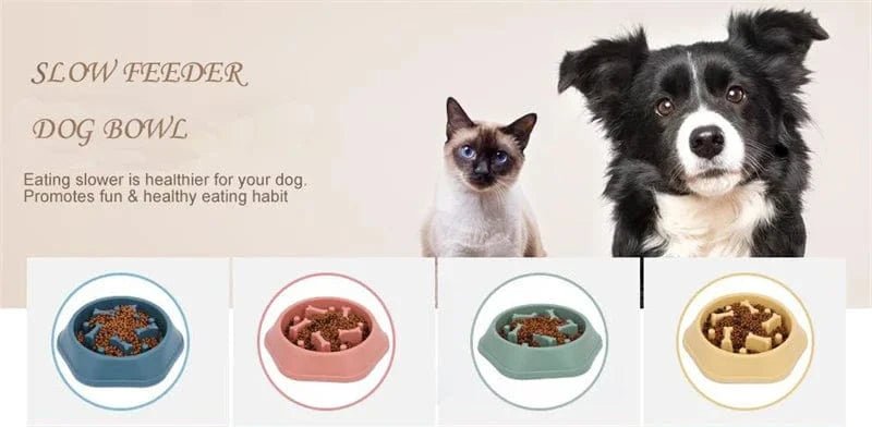 Dog Slow Feeder Bowl Anti - glutton Food Bowl for Dogs Slow Eating Dog Feeders Healthy Diet Pet Feeding Watering Supplies - PawfectCo