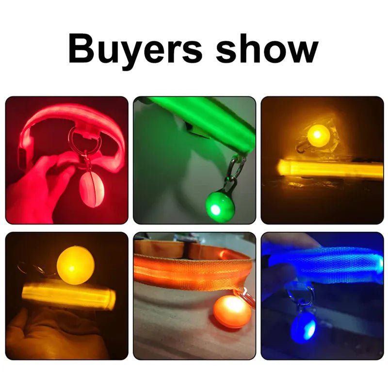 LED Rechargeable Dog Collar | Bright Night Safety Light - PawfectCo