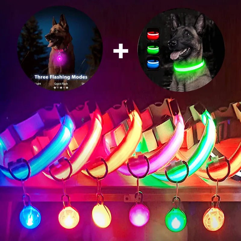 LED Rechargeable Dog Collar | Bright Night Safety Light - PawfectCo