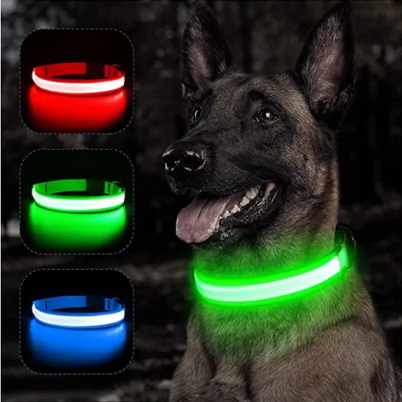LED Rechargeable Dog Collar | Bright Night Safety Light - PawfectCo