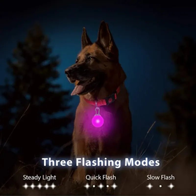 LED Rechargeable Dog Collar | Bright Night Safety Light - PawfectCo