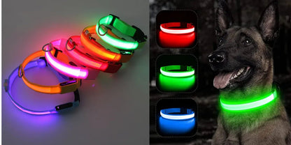 LED Rechargeable Dog Collar | Bright Night Safety Light - PawfectCo