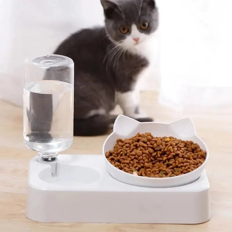 New Pet Bowl 15 Degrees Tilt to Protect Cervical Vertebrae Dog Food Bowl Automatic Drinking Feeder Pet Feeding Supplies - PawfectCo