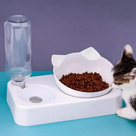 New Pet Bowl 15 Degrees Tilt to Protect Cervical Vertebrae Dog Food Bowl Automatic Drinking Feeder Pet Feeding Supplies - PawfectCo