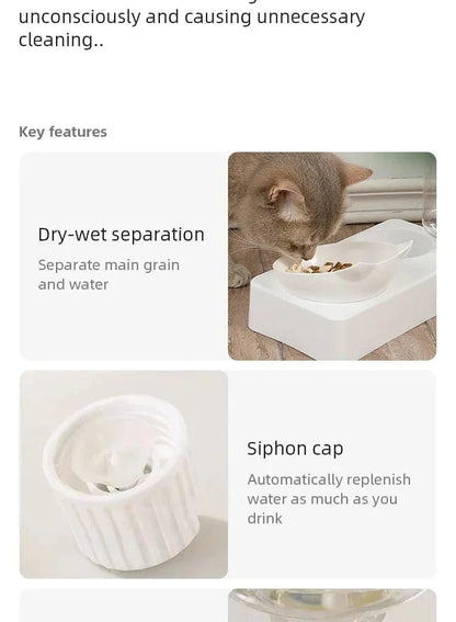 New Pet Bowl 15 Degrees Tilt to Protect Cervical Vertebrae Dog Food Bowl Automatic Drinking Feeder Pet Feeding Supplies - PawfectCo