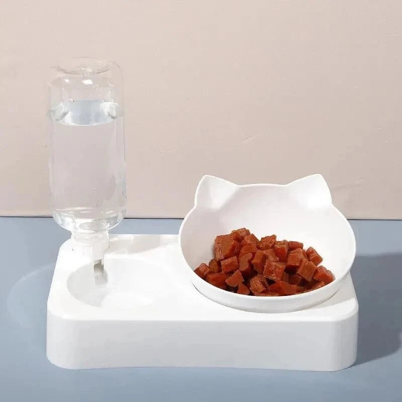 New Pet Bowl 15 Degrees Tilt to Protect Cervical Vertebrae Dog Food Bowl Automatic Drinking Feeder Pet Feeding Supplies - PawfectCo