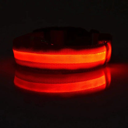 Nylon LED Night Safety Flashing Glow In The Dark Dog Leash Dogs Luminous Fluorescent Pet Dog Collar - PawfectCo